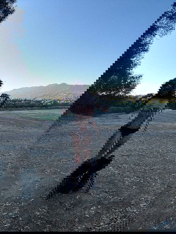 zommmbri image ~ Altpins