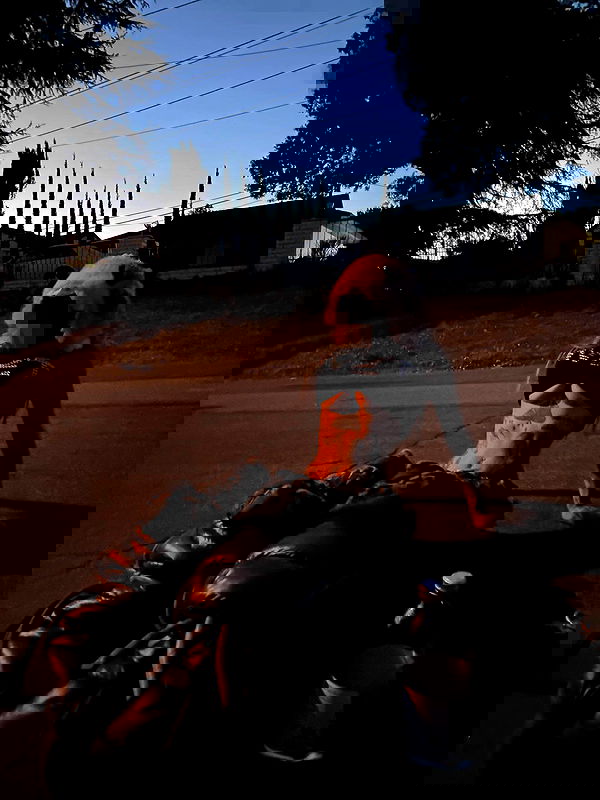 zommmbri image ~ Altpins