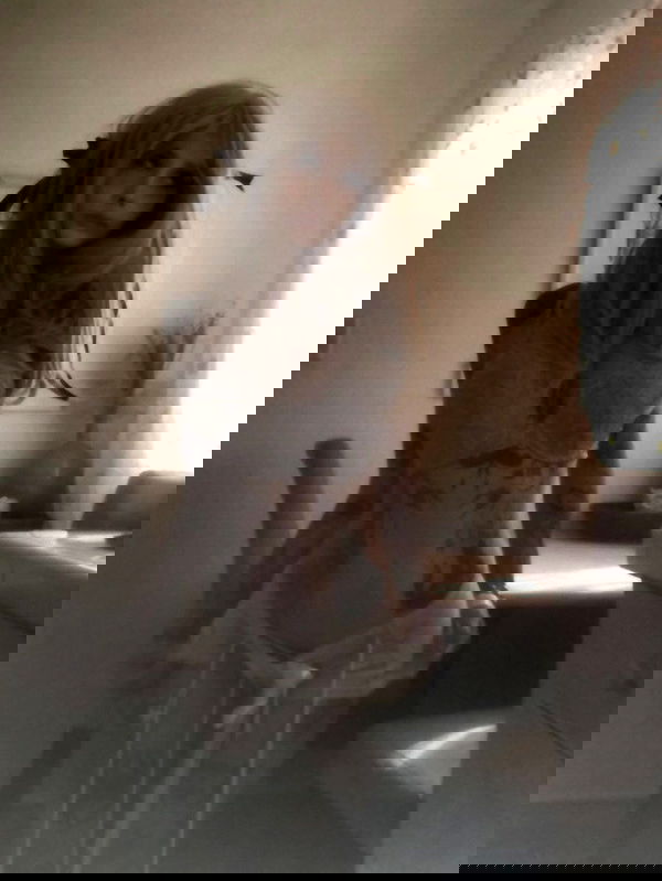 zommmbri image ~ Altpins