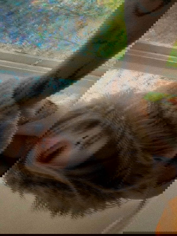 zommmbri image ~ Altpins