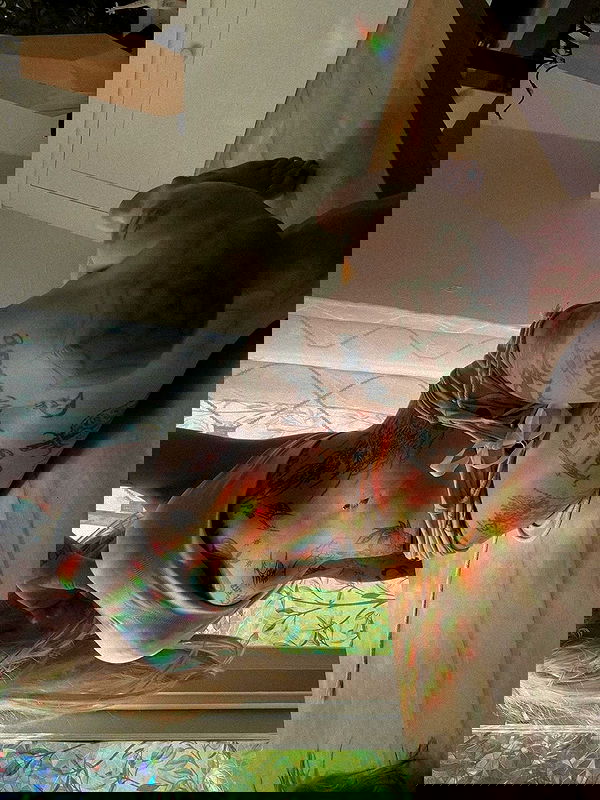 zommmbri image ~ Altpins