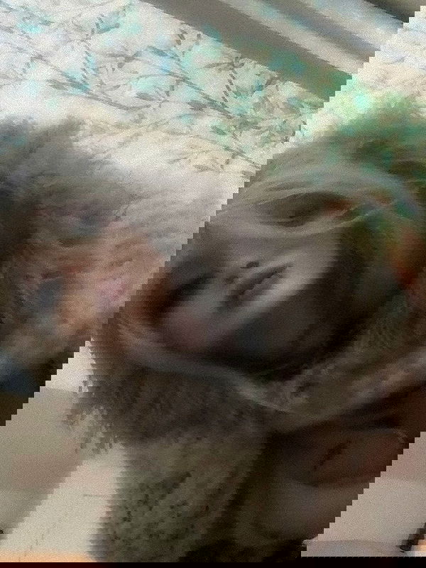 zommmbri image ~ Altpins