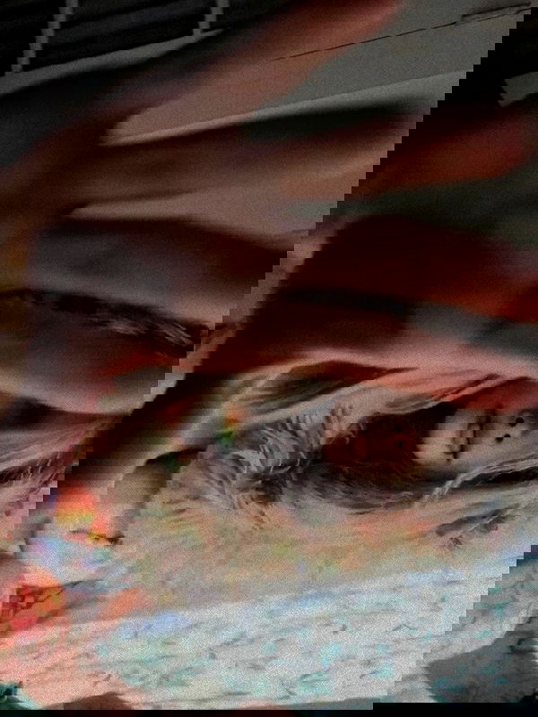 zommmbri image ~ Altpins