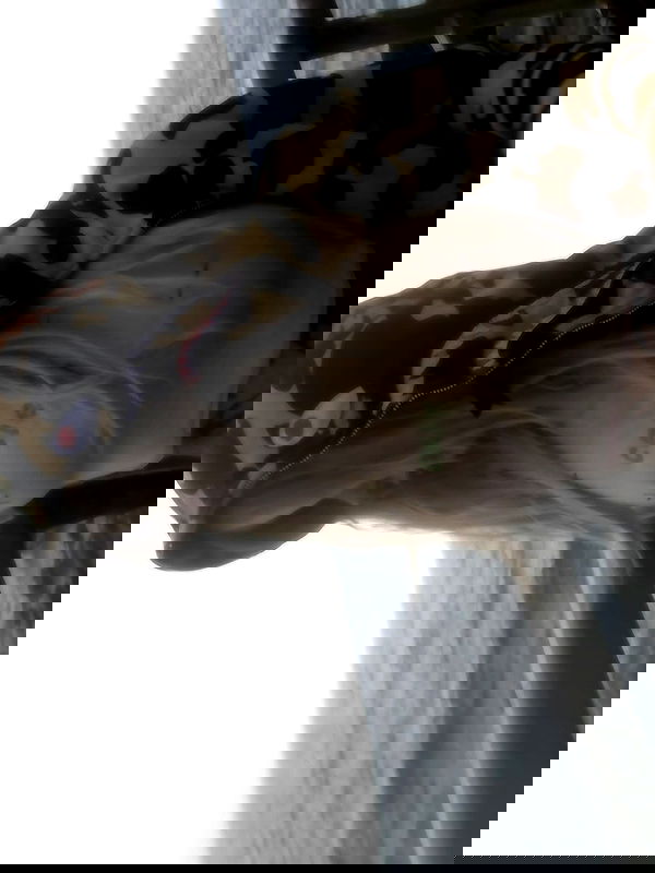 zommmbri image ~ Altpins