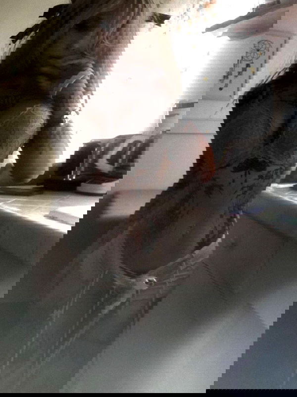 zommmbri image ~ Altpins