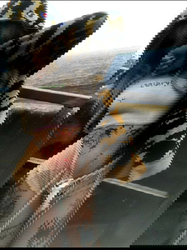 zommmbri image ~ Altpins