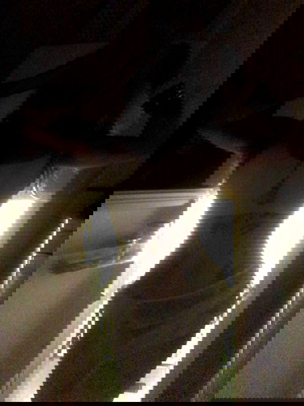 zommmbri image ~ Altpins