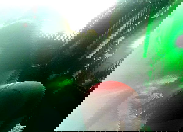 zommmbri image ~ Altpins