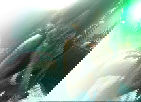 zommmbri image ~ Altpins