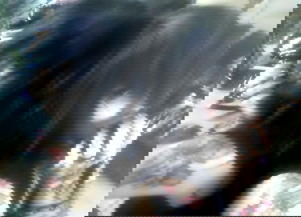 zommmbri image ~ Altpins