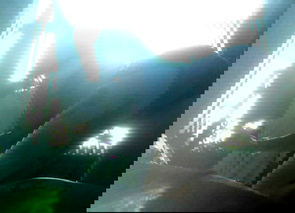 zommmbri image ~ Altpins