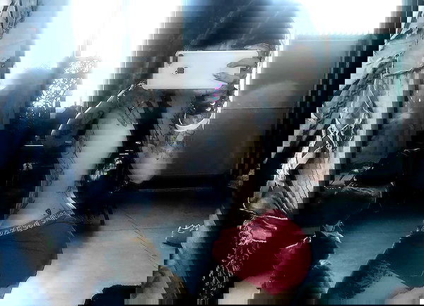 zommmbri image ~ Altpins