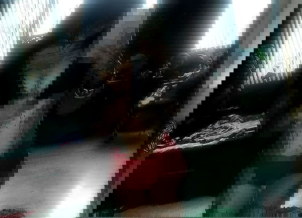 zommmbri image ~ Altpins