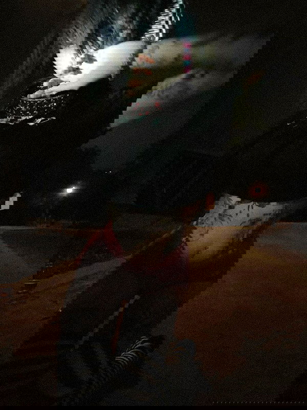 zommmbri image ~ Altpins