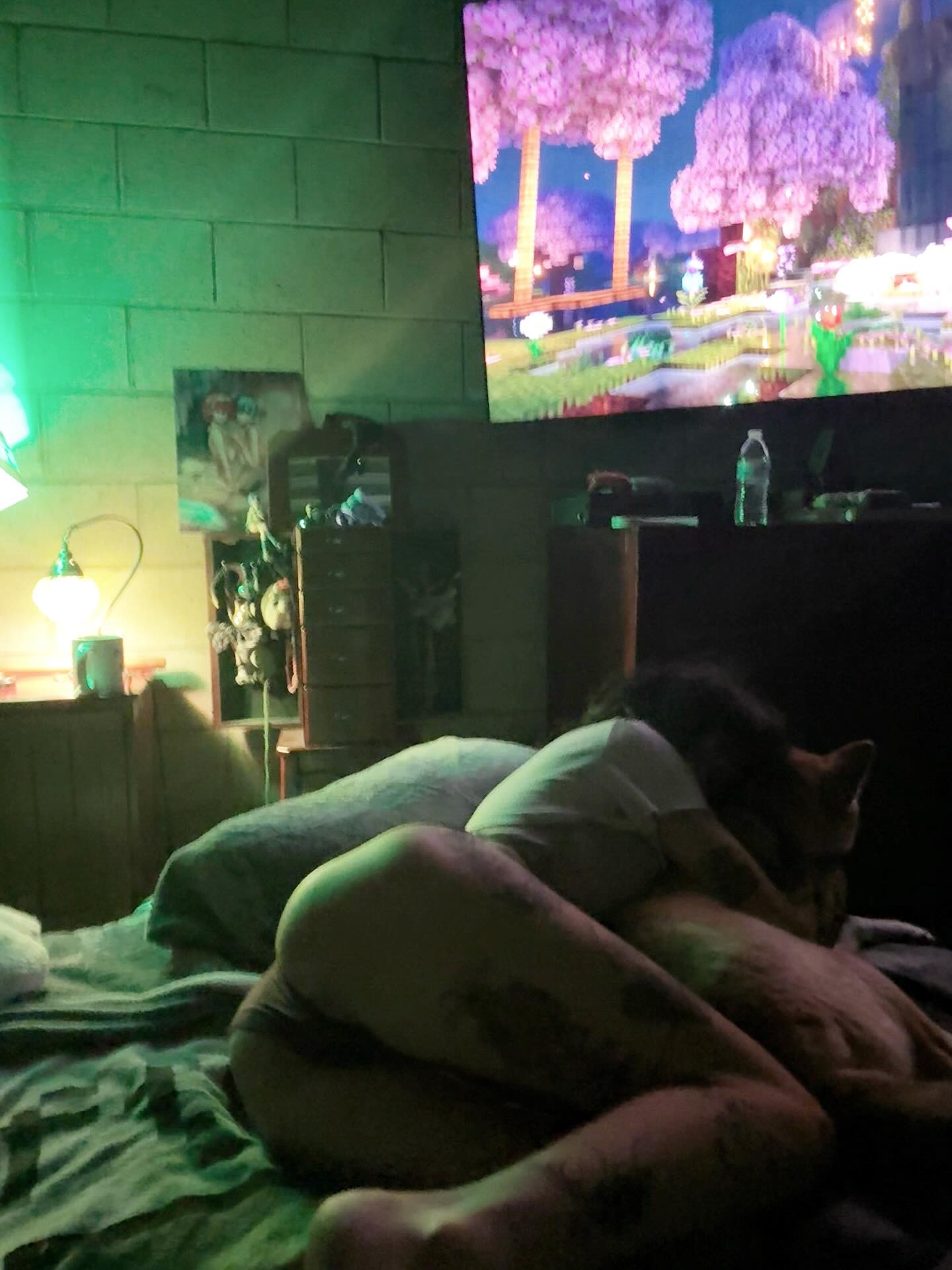 zommmbri instagram image archive image