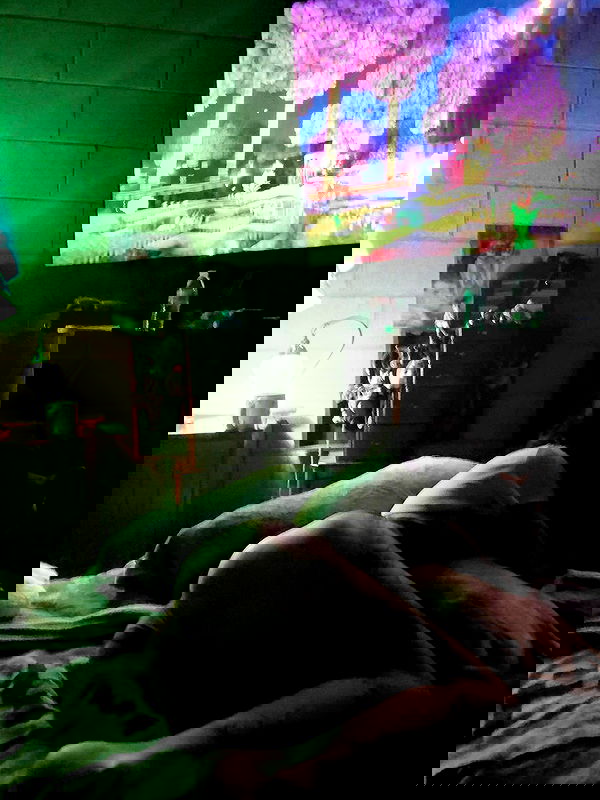 zommmbri image ~ Altpins