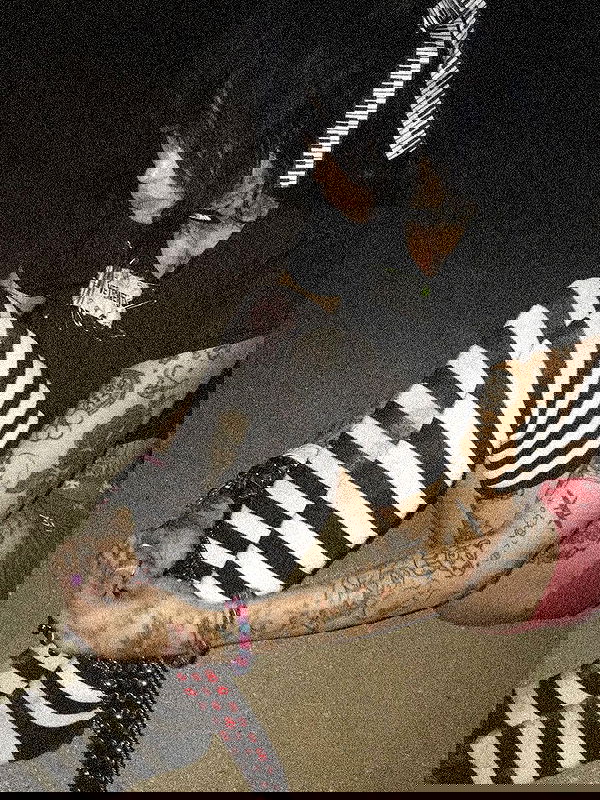 zommmbri image ~ Altpins