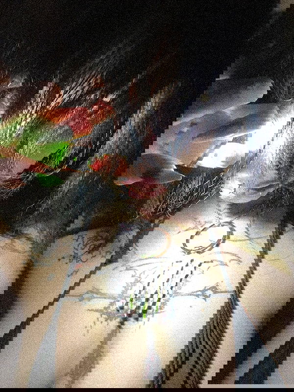 zommmbri image ~ Altpins