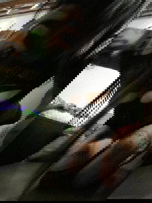 zommmbri image ~ Altpins