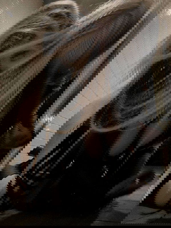 zommmbri image ~ Altpins