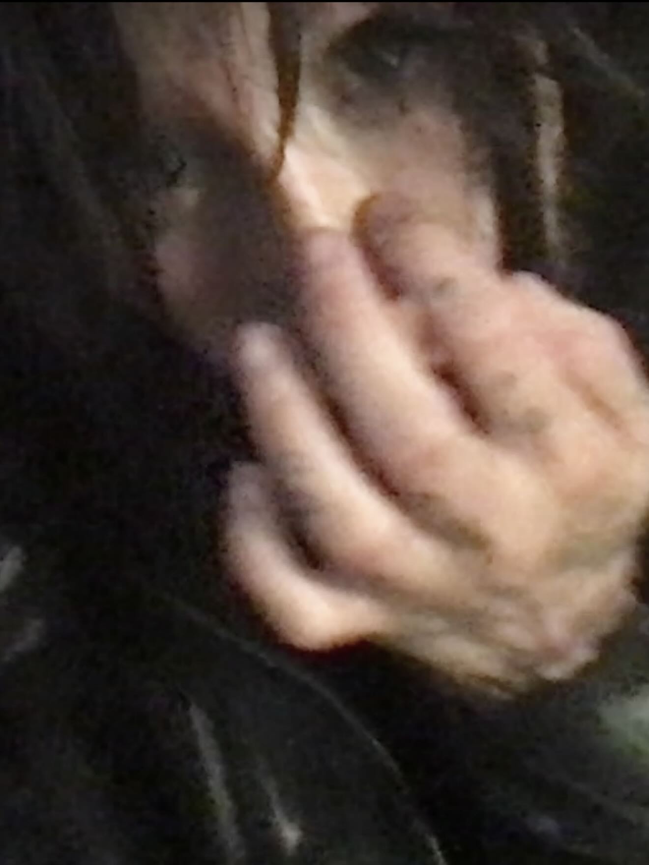 zommmbri instagram image archive image