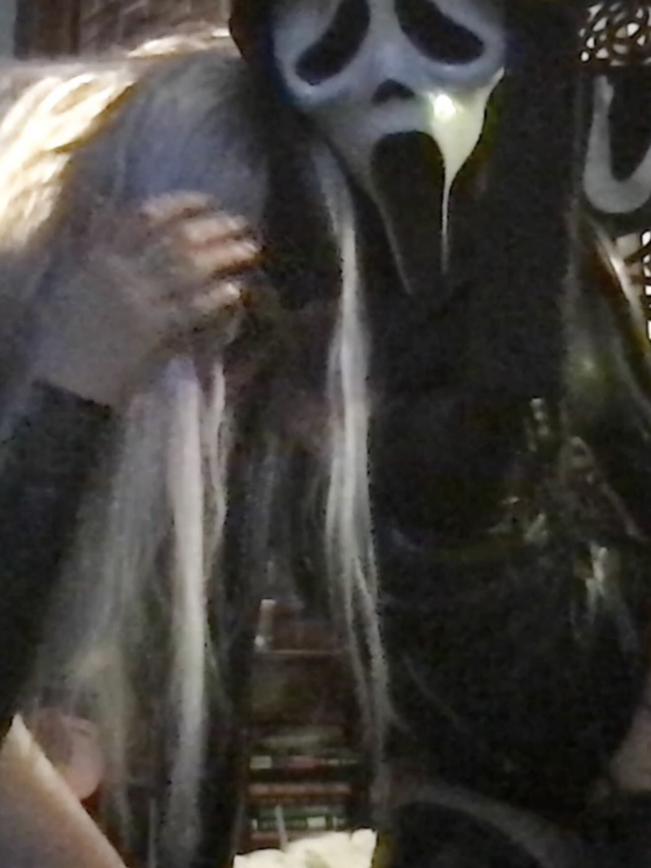 zommmbri instagram image archive image