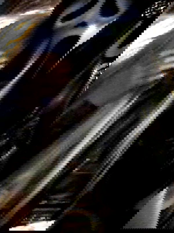 zommmbri image ~ Altpins