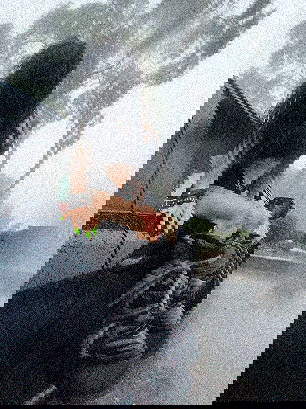 zommmbri image ~ Altpins