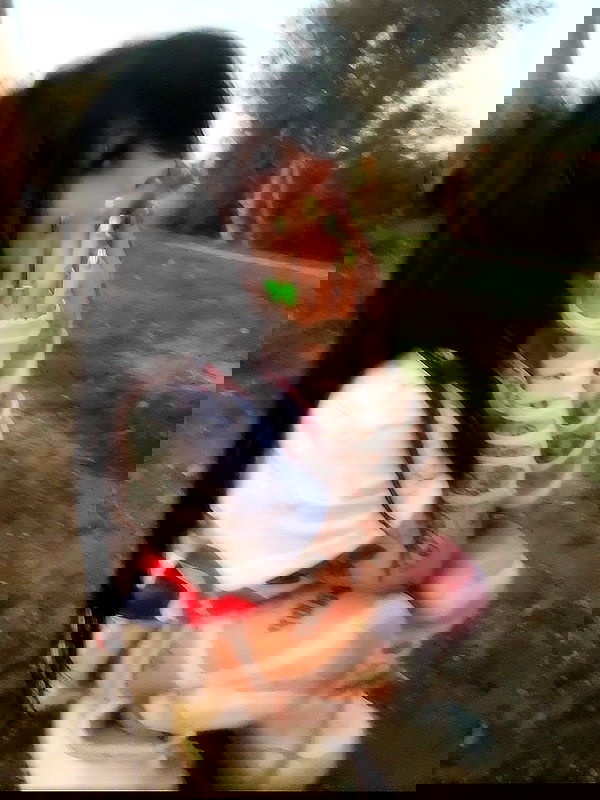 zommmbri image ~ Altpins