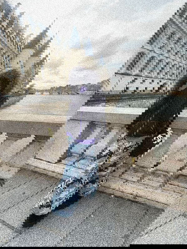 zommmbri image ~ Altpins