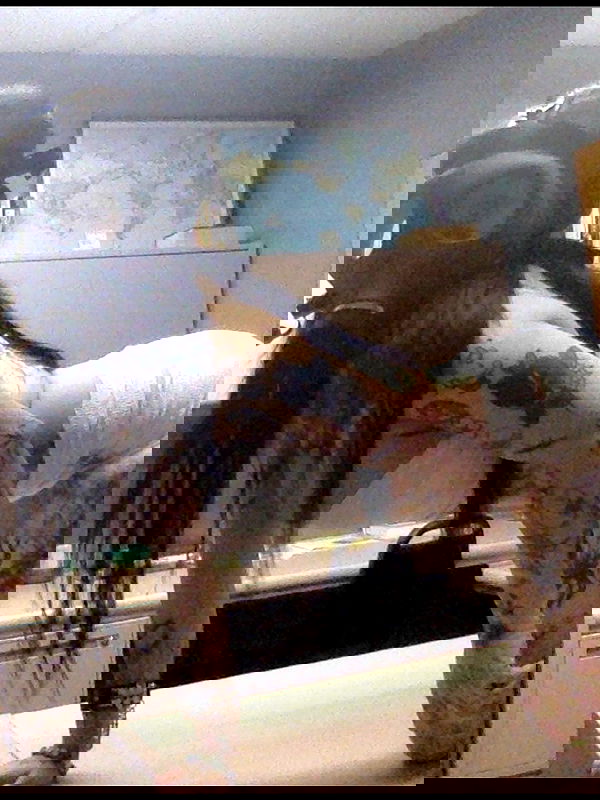 zommmbri image ~ Altpins