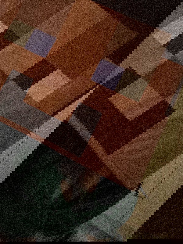 zommmbri image ~ Altpins