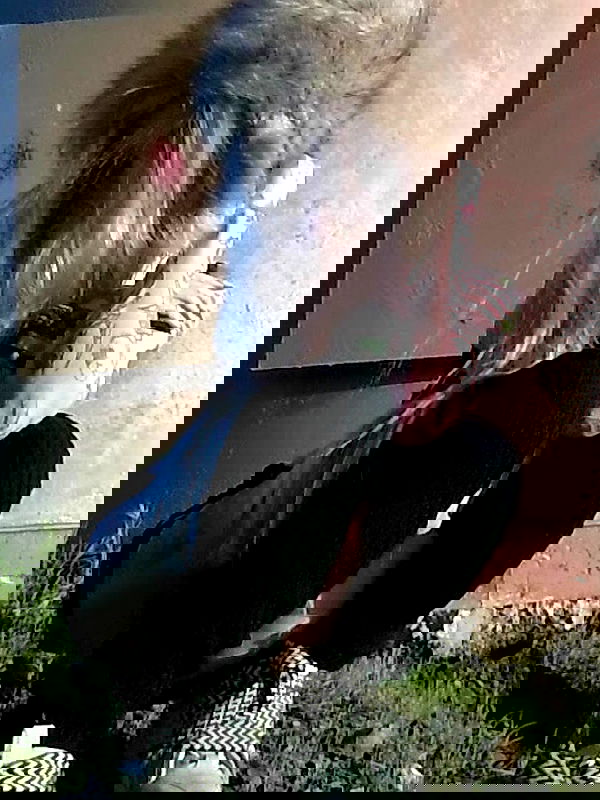 zommmbri image ~ Altpins