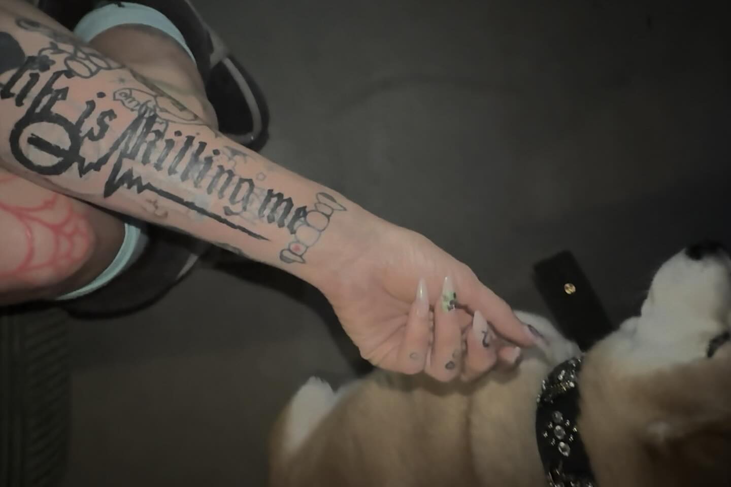 zommmbri instagram image archive image