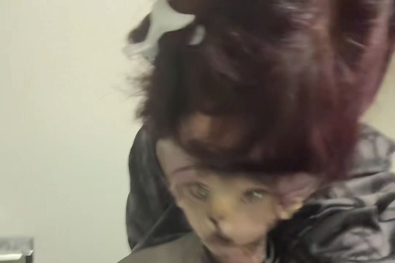 zommmbri instagram image archive image