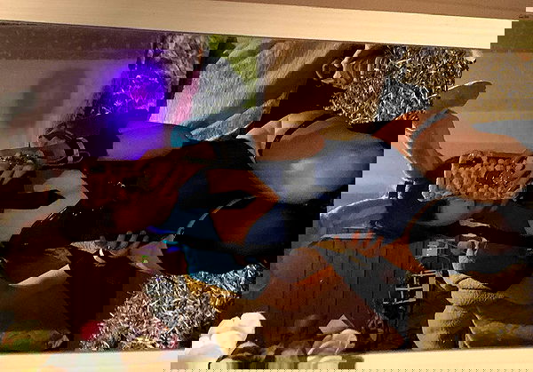 zoxmbiex image ~ Altpins