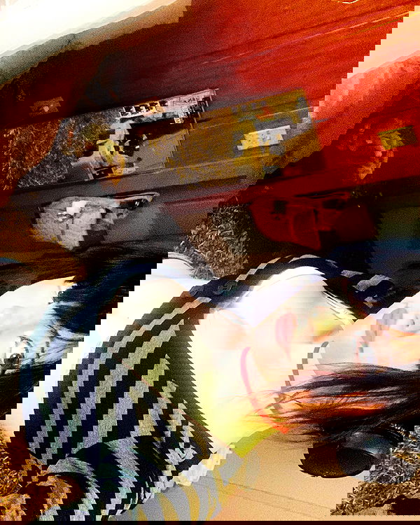 zoxmbiex image ~ Altpins