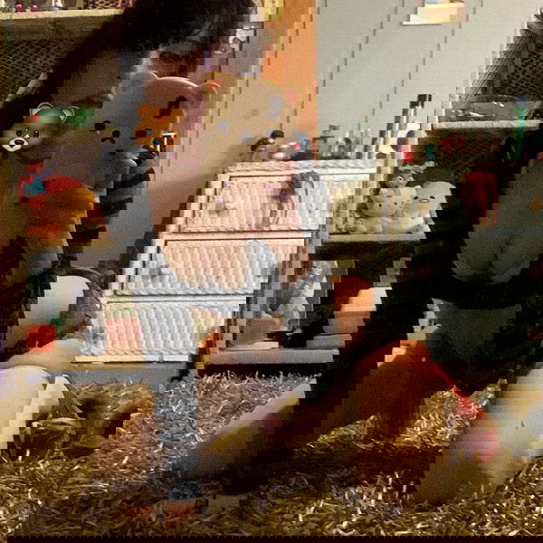 zoxmbiex image ~ Altpins