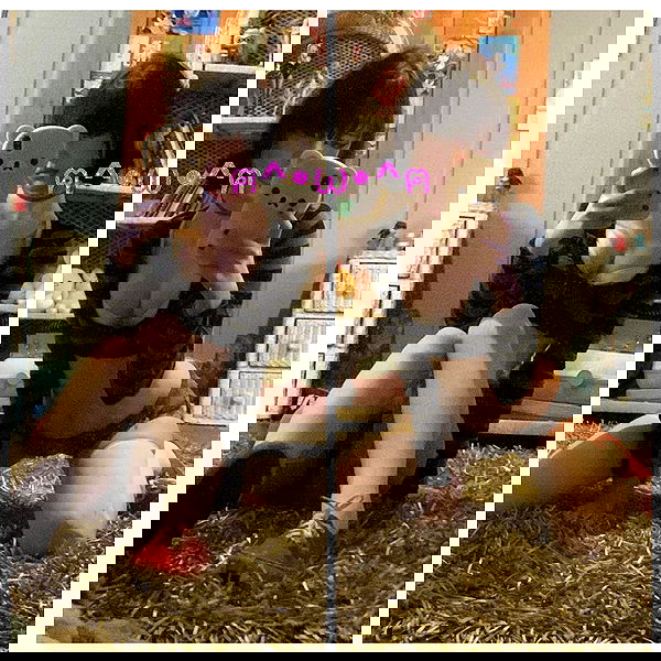 zoxmbiex image ~ Altpins