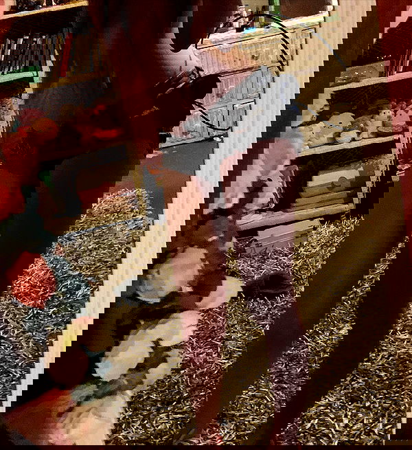 zoxmbiex image ~ Altpins