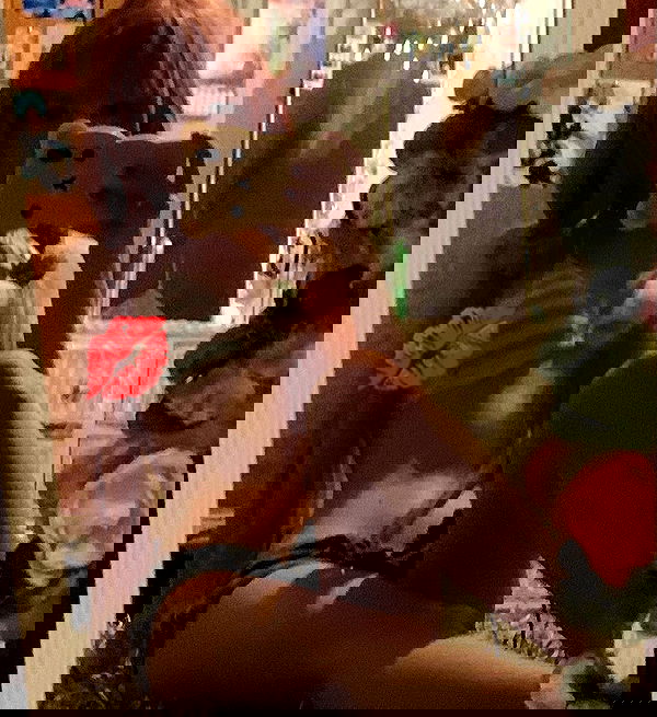 zoxmbiex image ~ Altpins