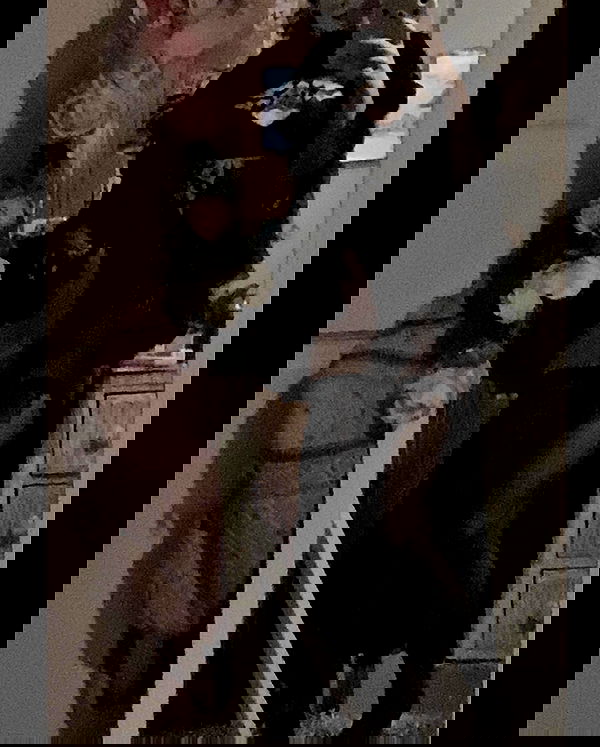 zoxmbiex image ~ Altpins