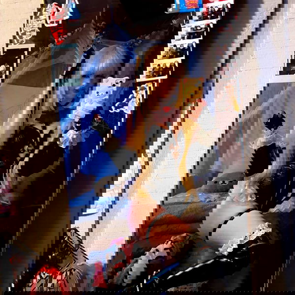 zoxmbiex image ~ Altpins