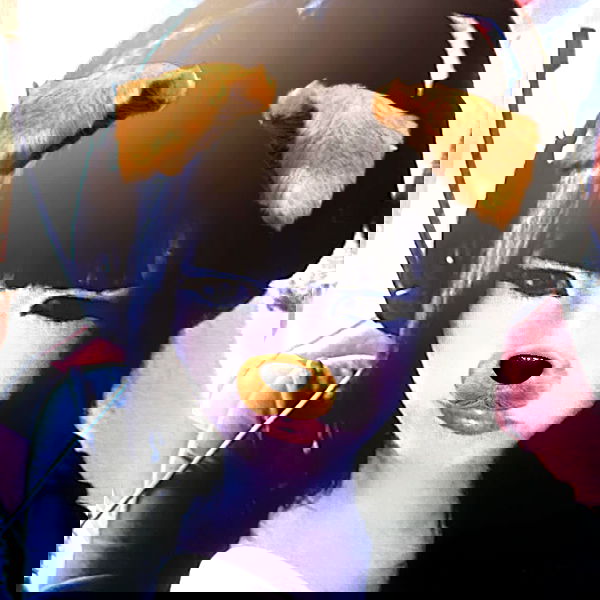 zoxmbiex image ~ Altpins