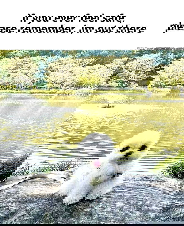 zoxmbiex image ~ Altpins