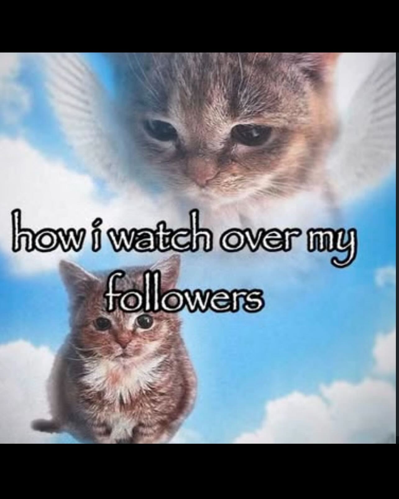 zoxmbiex instagram image archive image