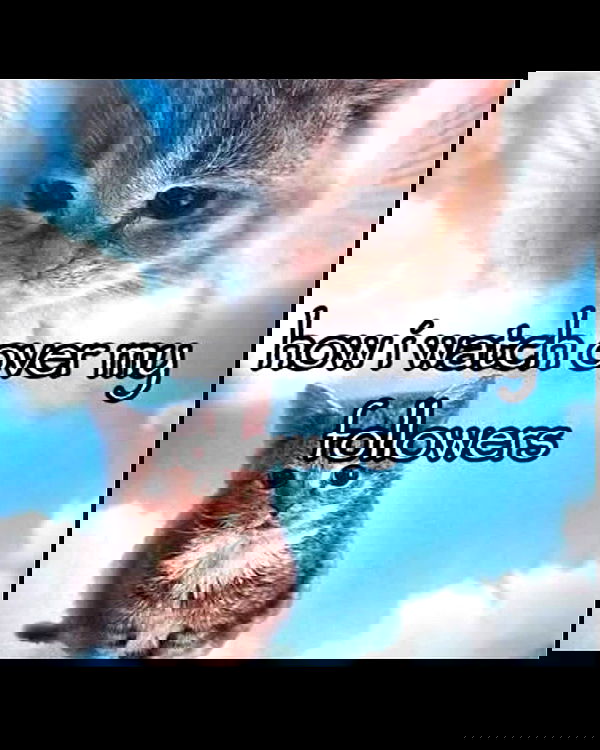 zoxmbiex image ~ Altpins