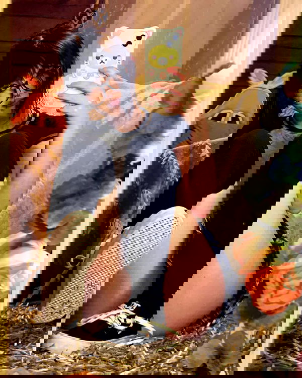 zoxmbiex image ~ Altpins