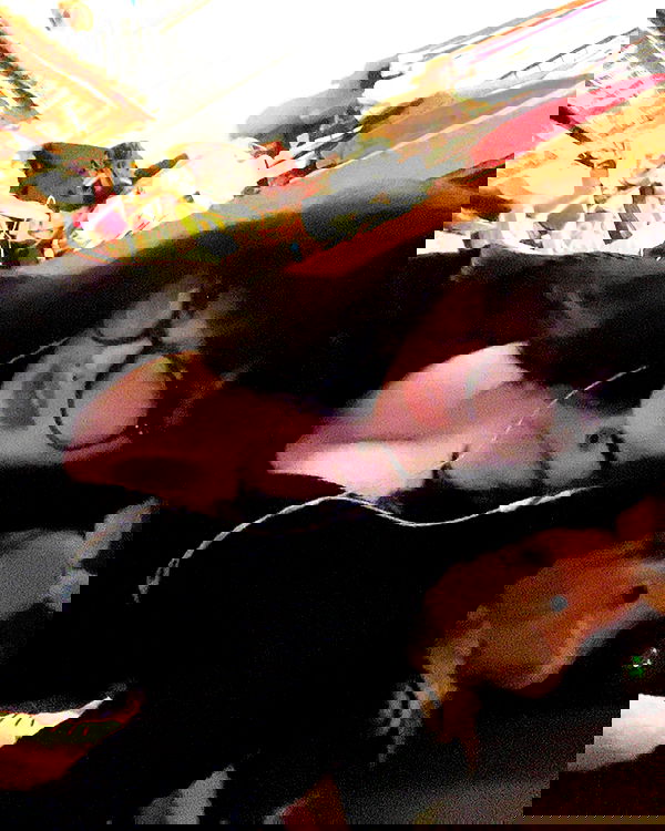 zoxmbiex image ~ Altpins