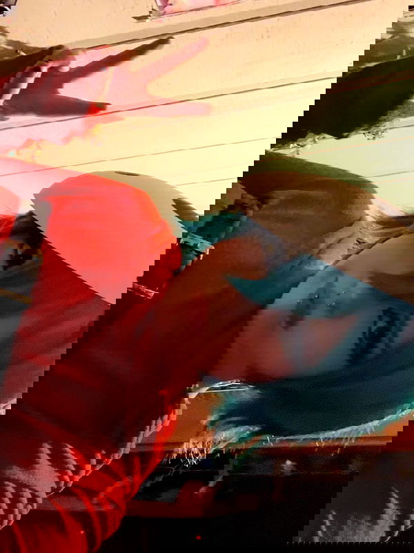 zoxmbiex image ~ Altpins